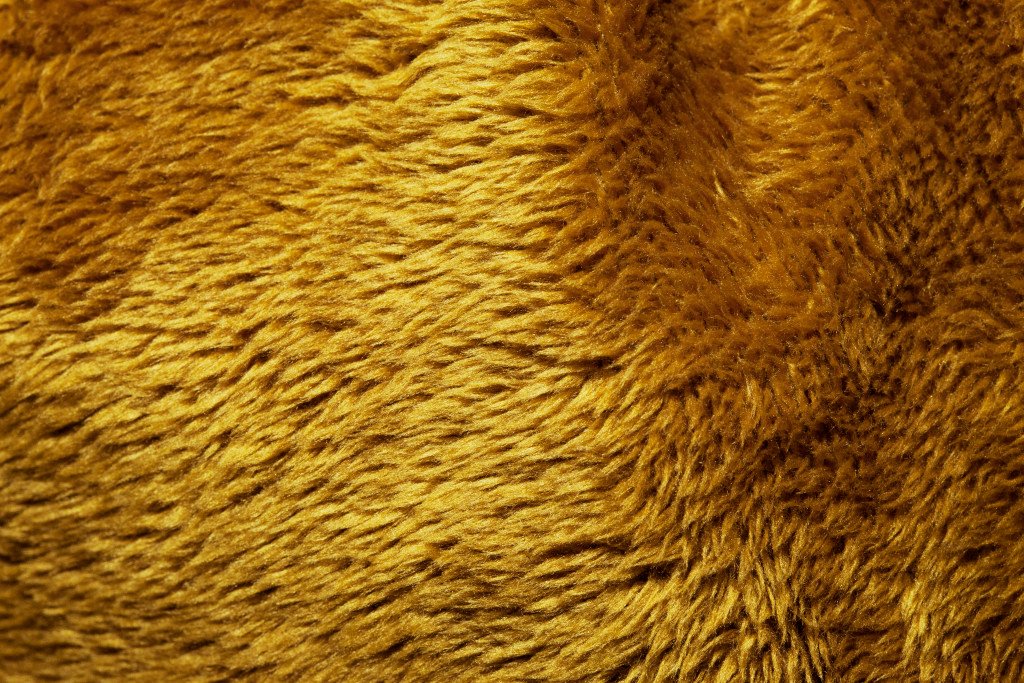 Textures Stuffed Design with Animals Skin