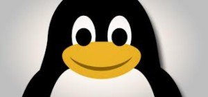 linux project management