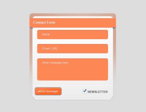 contact_form_by_techfameplus