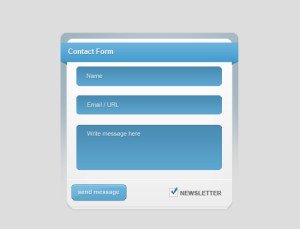 contact_form_by_techfameplus