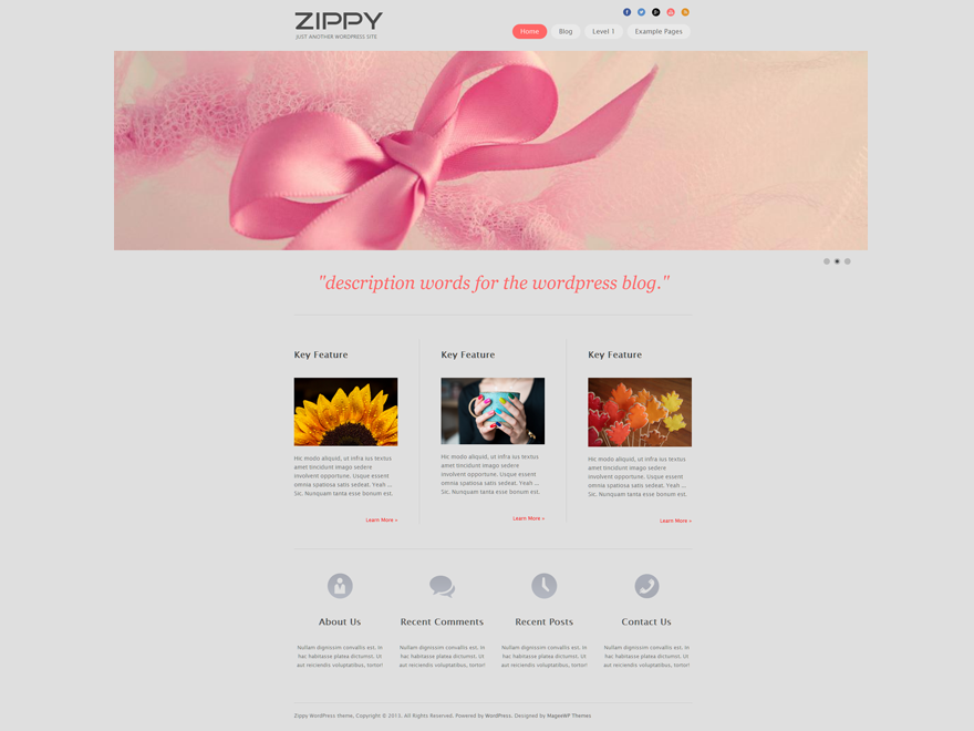 Free Zippy Wordpress Theme