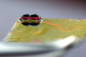 Latest news from the world of technology according to Discovery