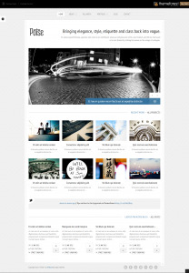 Poise Business Website Template psd Design