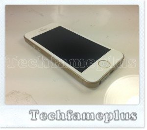 iPhone 5S