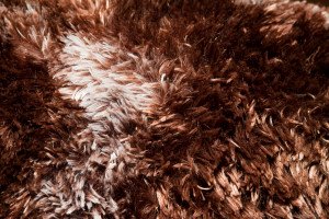 Textures Stuffed Design with Animals Skin