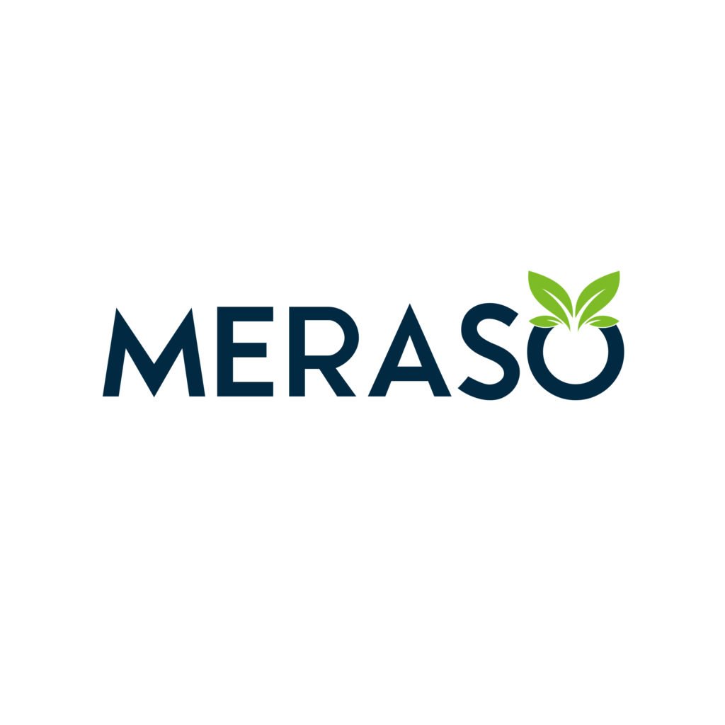 Meraso PSD Logo Design | Sample Logo Design