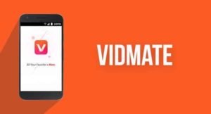 Would you consider Vidmate App to be a harmful app?