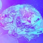 The human brain and its myriad scenarios