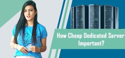 Web Hosting: What is it and why everyone Needs One?