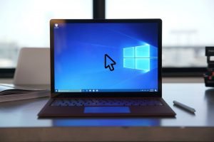 Fix Mouse Pointer-Cursor Disappears on Windows 10