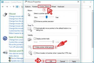 mouse poiter option