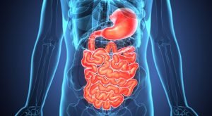 Tips to Improve Your Digestive Health At Home
