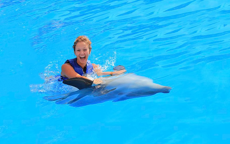 Swim with dolphins in Puerto Vallarta at Aquaventuras Park