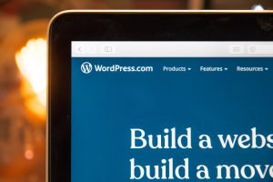 Essential Characteristics Your WordPress Theme Should Offer You