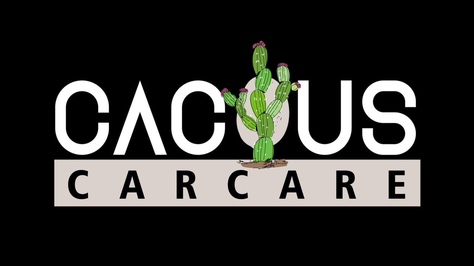 Cactus Car Care Logo design Sample